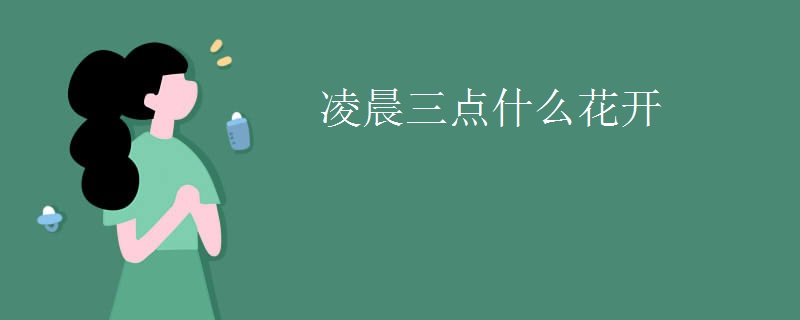 凌晨三点什么花开