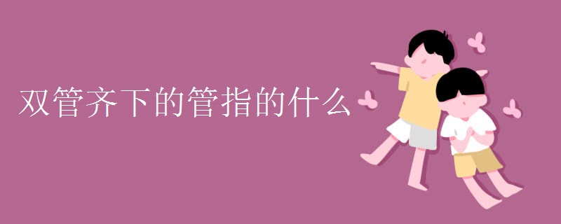 双管齐下的管指的什么