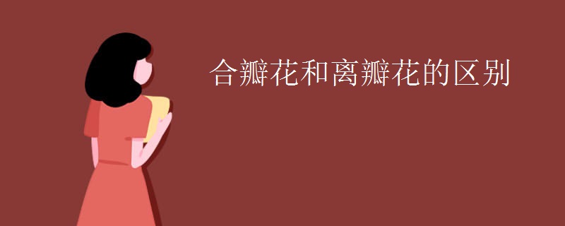 合瓣花和离瓣花的区别