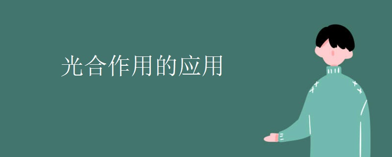 光合作用的应用