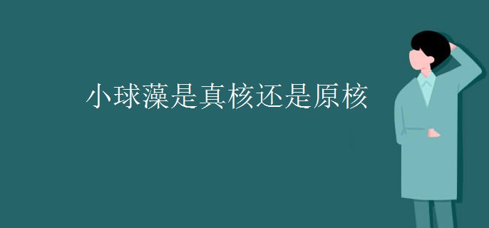 小球藻是真核还是原核