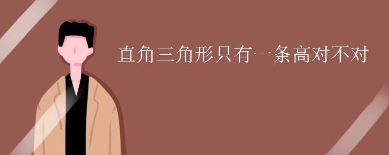 直角三角形只有一条高对不对