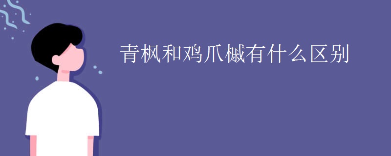 青枫和鸡爪槭有什么区别