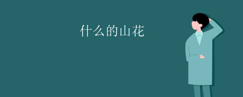 什么的山花