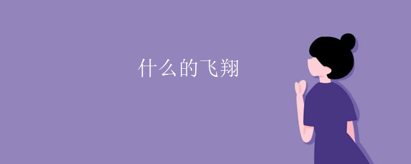 什么的飞翔