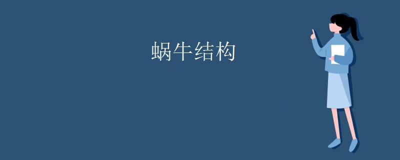 蜗牛结构