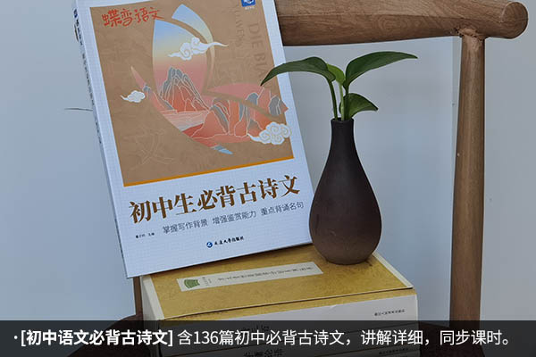 初中文言文解析辅导书 推荐几本文言文的书籍