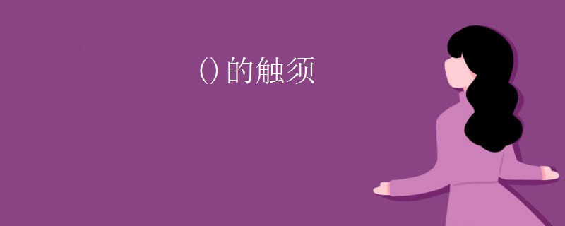 ()的触须