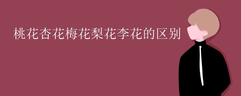 桃花杏花梅花梨花李花的区别