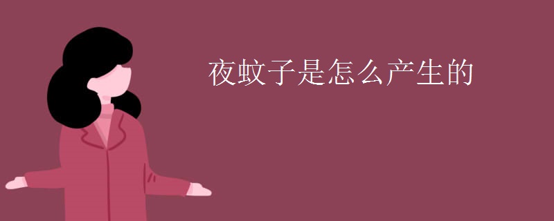夜蚊子是怎么产生的