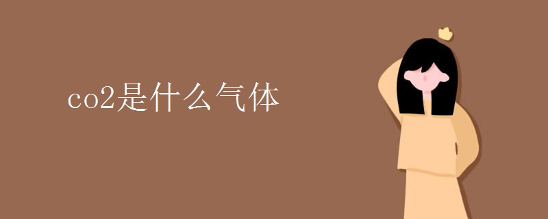 co2是什么气体
