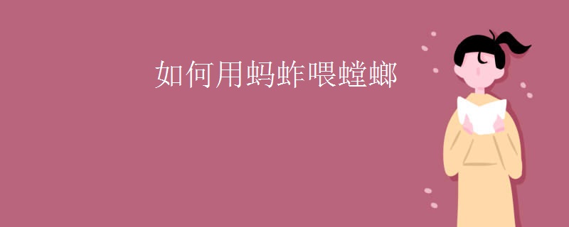 如何用蚂蚱喂螳螂