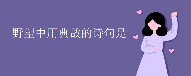 野望中用典故的诗句是