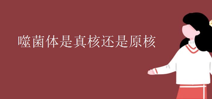 噬菌体是真核还是原核