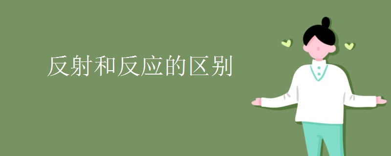 反射和反应的区别