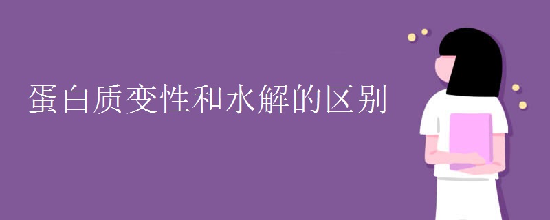 蛋白质变性和水解的区别