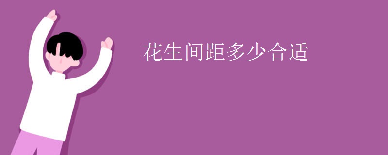 花生间距多少合适