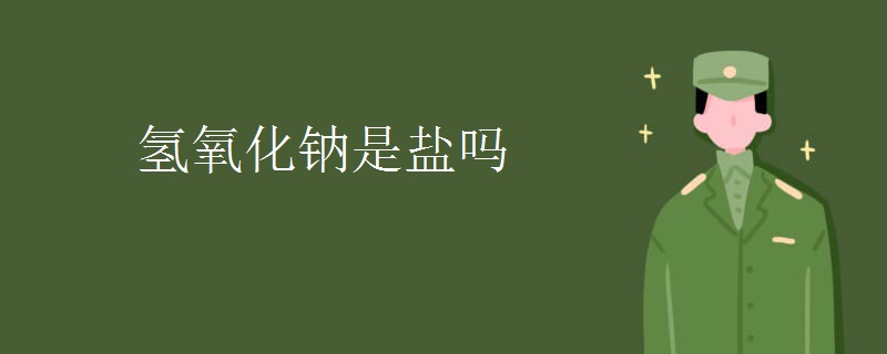 氢氧化钠是盐吗