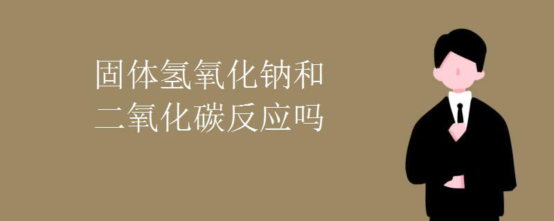 固体氢氧化钠和二氧化碳反应吗