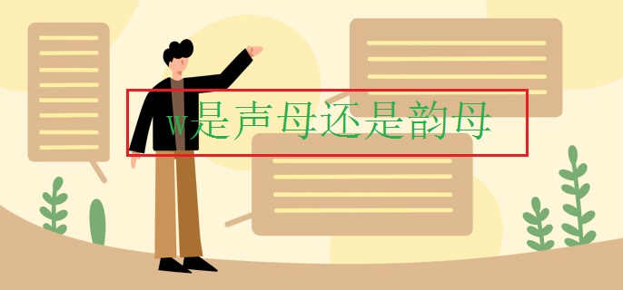 w是声母还是韵母