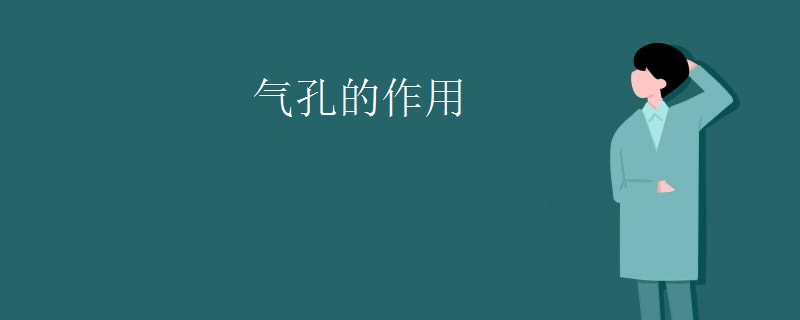 气孔的作用