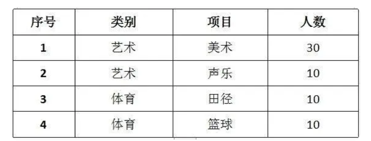 2024年济南协和双语实验学校中考艺体特长生招生计划