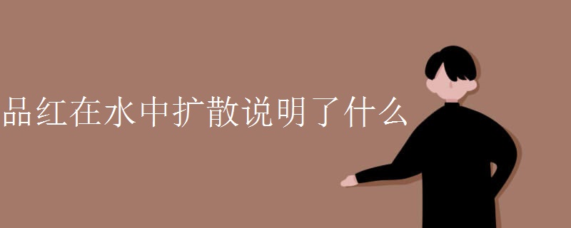 品红在水中扩散说明了什么