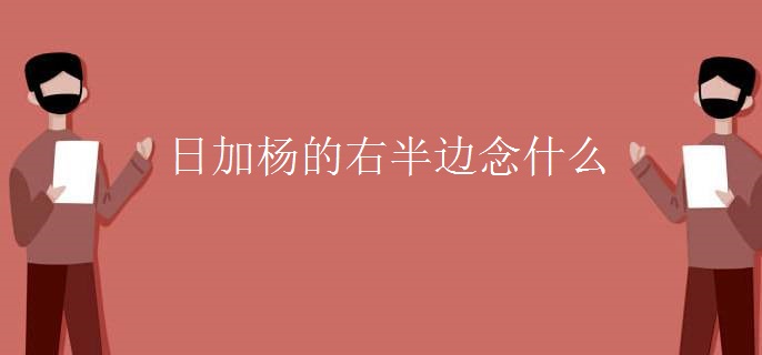 日加杨的右半边念什么