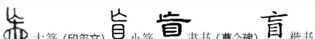 盲的部首是亡还是目 它的演变过程是什么