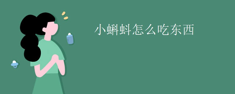 小蝌蚪怎么吃东西