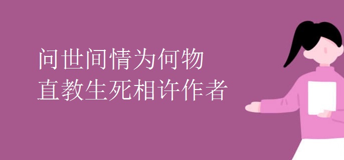 问世间情为何物直教生死相许作者