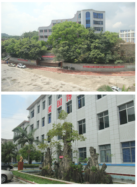 内江铁路中学环境
