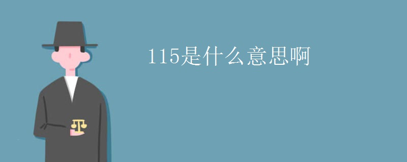 115是什么意思啊
