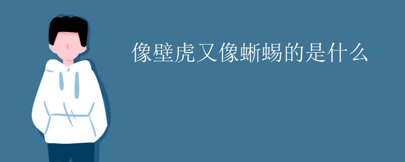 像壁虎又像蜥蜴的是什么