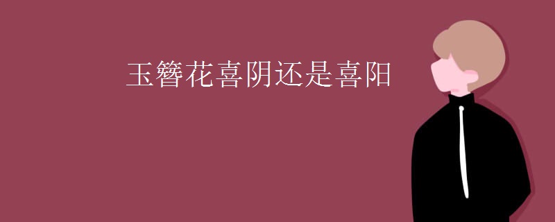 玉簪花喜阴还是喜阳
