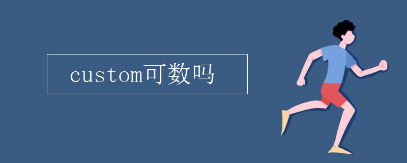 custom可数吗