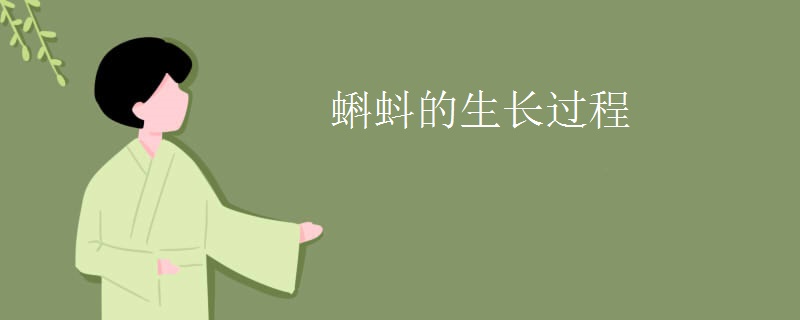 蝌蚪的生长过程