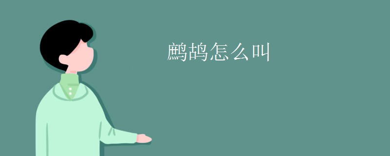 鹧鸪怎么叫