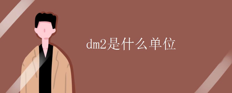 dm2是什么单位