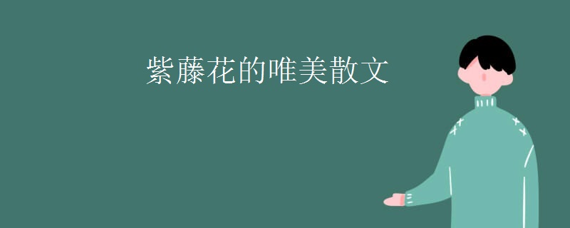 紫藤花的唯美散文