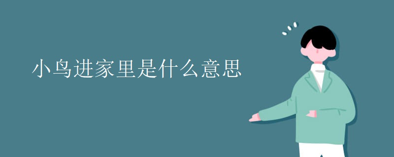 小鸟进家里是什么意思