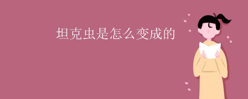 坦克虫是怎么变成的