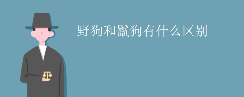 野狗和鬣狗有什么区别