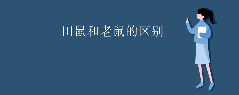 田鼠和老鼠的区别