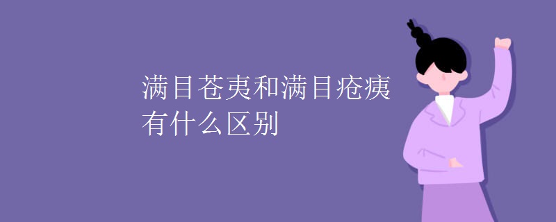 满目苍夷和满目疮痍有什么区别