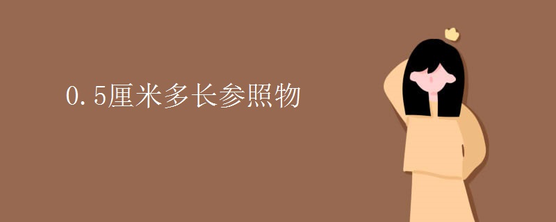 0.5厘米多长参照物