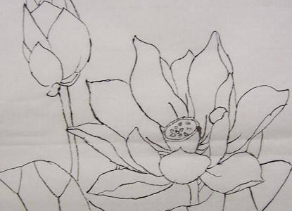 素描画有哪些简单易画 好看的铅笔素描画图片