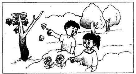 一年级秋天写话图片有哪些
