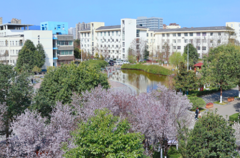 川北幼儿师范高等专科学校环境