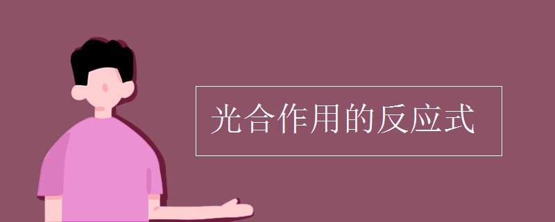 光合作用的反应式